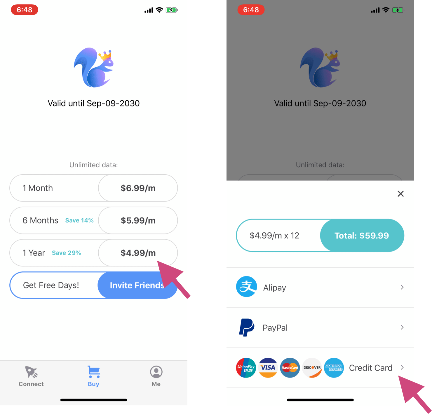 SquirrelVPN Credit Card payment SquirrelVPN Credit Card payment